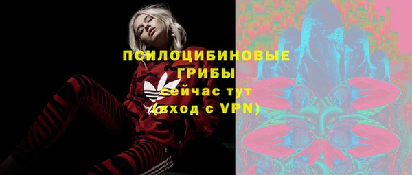 винт Алексин