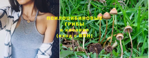 экстази Алексеевка