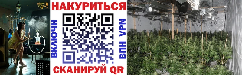 Канабис THC 21%  продажа наркотиков  Баймак 